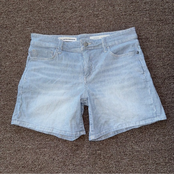 Anthropologie Pilcro and the Letterpress HYPHEN Blue White Stripe Shorts Size 27 - Picture 4 of 13